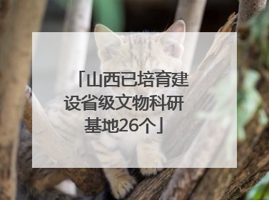 山西已培育建设省级文物科研基地26个
