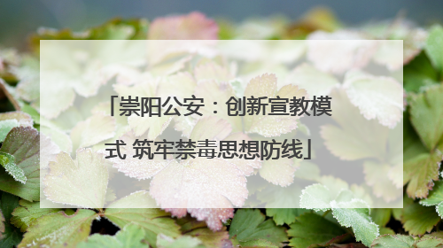 崇阳公安：创新宣教模式 筑牢禁毒思想防线