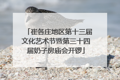 崔各庄地区第十三届文化艺术节暨第三十四届奶子房庙会开锣