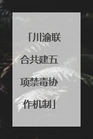川渝联合共建五项禁毒协作机制