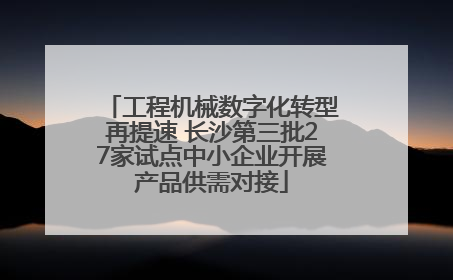 工程机械数字化转型再提速 长沙第三批27家试点中小企业开展产品供需对接