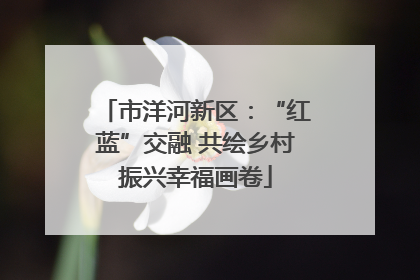 市洋河新区：“红蓝”交融 共绘乡村振兴幸福画卷