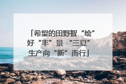希望的田野智“绘”好“丰”景 “三夏”生产向“新”而行