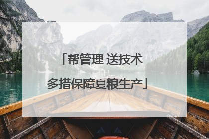 帮管理 送技术 多措保障夏粮生产