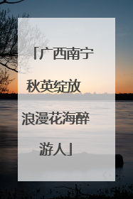 广西南宁秋英绽放 浪漫花海醉游人