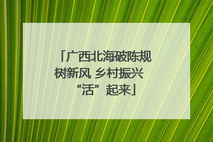 广西北海破陈规树新风 乡村振兴“活”起来
