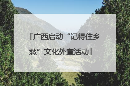 广西启动“记得住乡愁”文化外宣活动