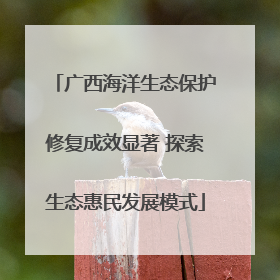 广西海洋生态保护修复成效显著 探索生态惠民发展模式