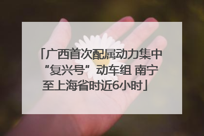 广西首次配属动力集中“复兴号”动车组 南宁至上海省时近6小时