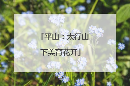 平山：太行山下美育花开