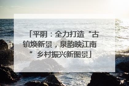 平阴：全力打造“古镇焕新景，泉韵映江南”乡村振兴新图景