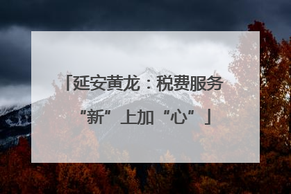 延安黄龙：税费服务“新”上加“心”