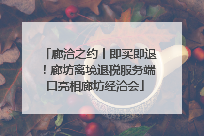 廊洽之约丨即买即退！廊坊离境退税服务端口亮相廊坊经洽会
