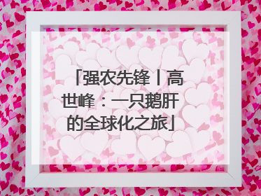 强农先锋丨高世峰：一只鹅肝的全球化之旅