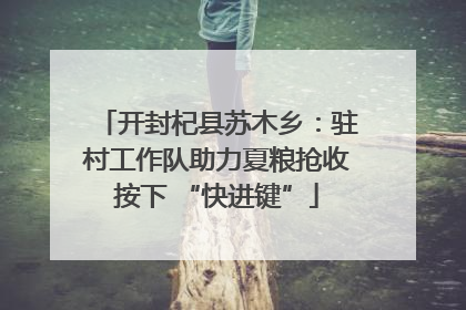 开封杞县苏木乡：驻村工作队助力夏粮抢收按下 “快进键”