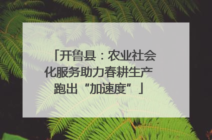 开鲁县：农业社会化服务助力春耕生产跑出“加速度”