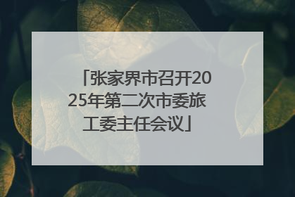 张家界市召开2025年第二次市委旅工委主任会议