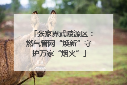 张家界武陵源区：燃气管网“焕新”守护万家“烟火”