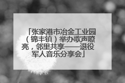 张家港市冶金工业园（锦丰镇）举办歌声嘹亮，邻里共享——退役军人音乐分享会