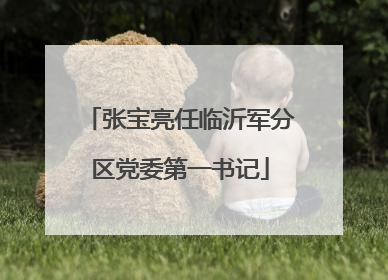张宝亮任临沂军分区党委第一书记