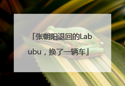 张朝阳退回的Labubu，换了一辆车