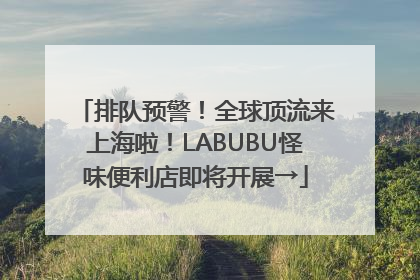 排队预警！全球顶流来上海啦！LABUBU怪味便利店即将开展→