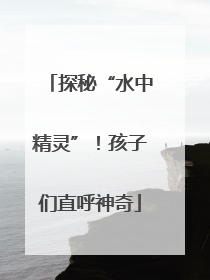 探秘“水中精灵”！孩子们直呼神奇