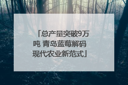 总产量突破9万吨 青岛蓝莓解码现代农业新范式