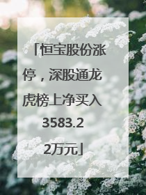 恒宝股份涨停，深股通龙虎榜上净买入3583.22万元