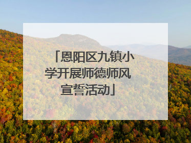 恩阳区九镇小学开展师德师风宣誓活动