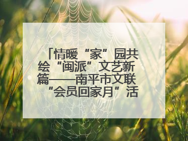 情暖“家”园共绘“闽派”文艺新篇——南平市文联“会员回家月”活动纪实