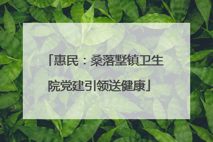 惠民：桑落墅镇卫生院党建引领送健康