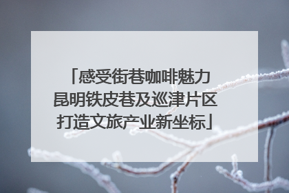 感受街巷咖啡魅力 昆明铁皮巷及巡津片区打造文旅产业新坐标