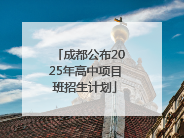 成都公布2025年高中项目班招生计划