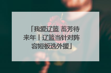 我爱辽篮 蓄芳待来年丨辽篮当针对阵容短板选外援