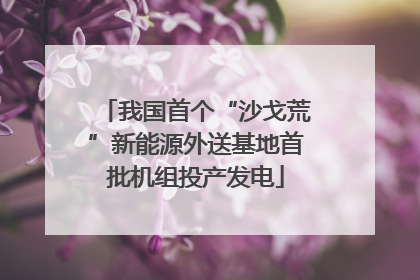 我国首个“沙戈荒”新能源外送基地首批机组投产发电