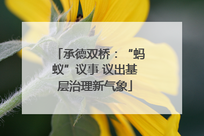 承德双桥：“蚂蚁”议事 议出基层治理新气象