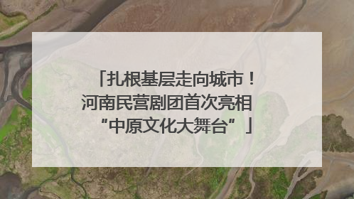 扎根基层走向城市！河南民营剧团首次亮相“中原文化大舞台”
