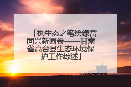 执生态之笔绘绿富同兴新画卷——甘肃省高台县生态环境保护工作综述