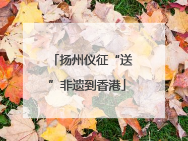 扬州仪征“送”非遗到香港