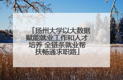 扬州大学以大数据赋能就业工作和人才培养 全链条就业帮扶畅通求职路