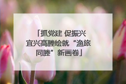 抓党建 促振兴 宜兴高塍绘就“渔旅同塍”新画卷
