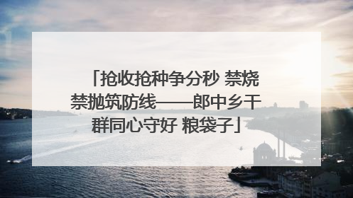 抢收抢种争分秒 禁烧禁抛筑防线——郎中乡干群同心守好 粮袋子