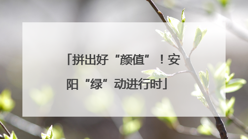 拼出好“颜值”！安阳“绿”动进行时