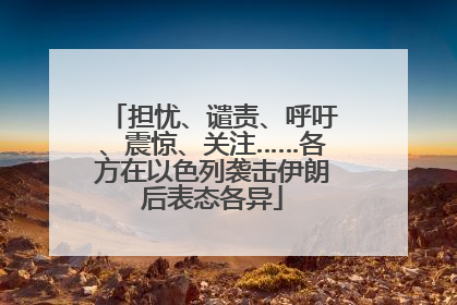 担忧、谴责、呼吁、震惊、关注……各方在以色列袭击伊朗后表态各异