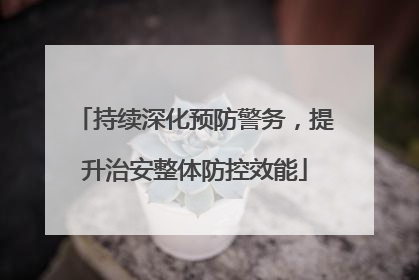 持续深化预防警务，提升治安整体防控效能