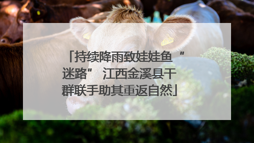 持续降雨致娃娃鱼“迷路” 江西金溪县干群联手助其重返自然