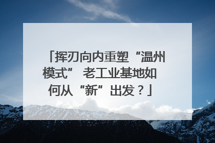 挥刃向内重塑“温州模式” 老工业基地如何从“新”出发？