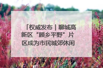 权威发布｜聊城高新区“顾乡平野”片区成为市民城郊休闲全新目的地