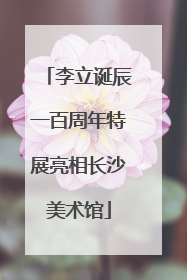 李立诞辰一百周年特展亮相长沙美术馆